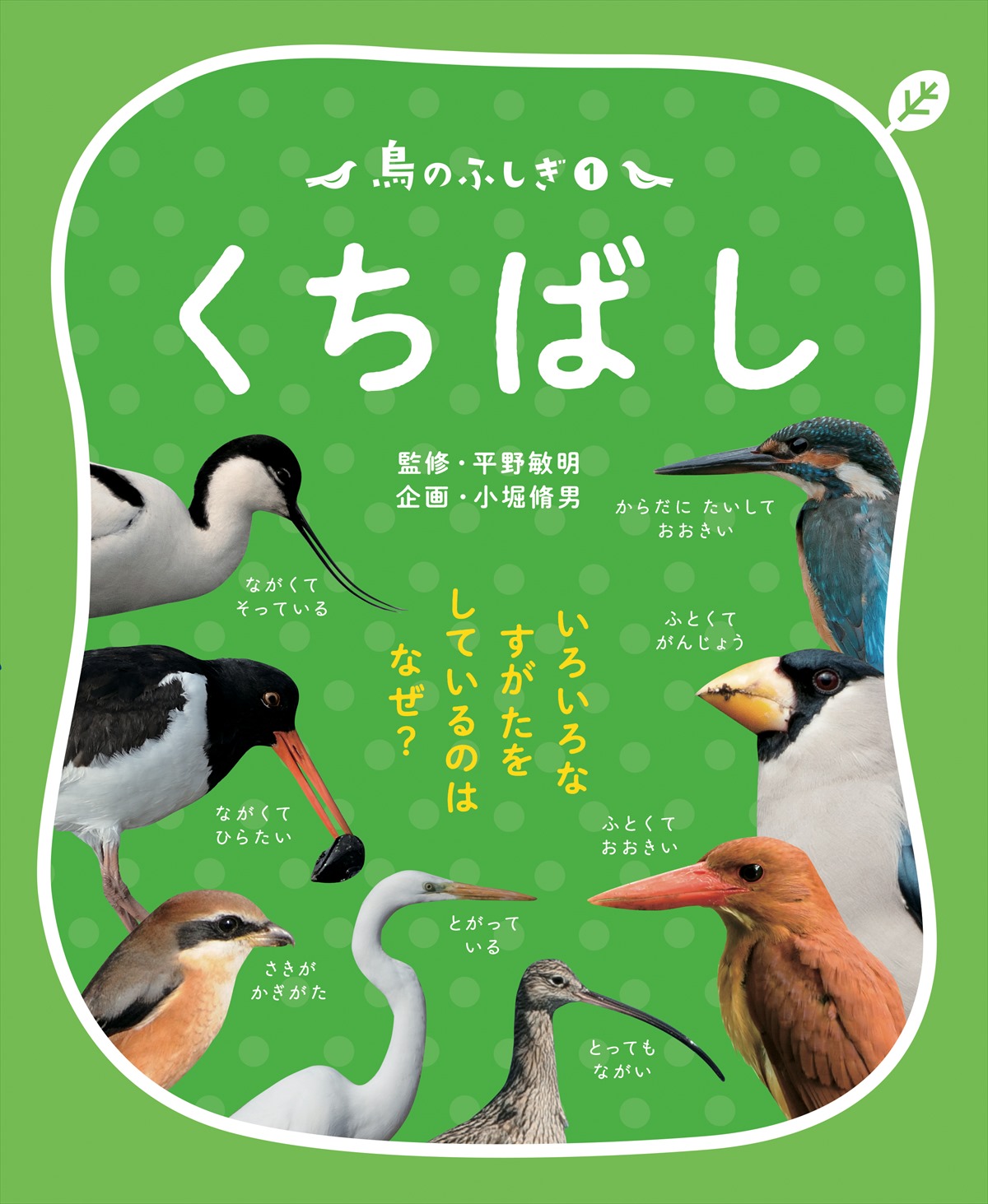 鳥のふしぎ１ くちばし