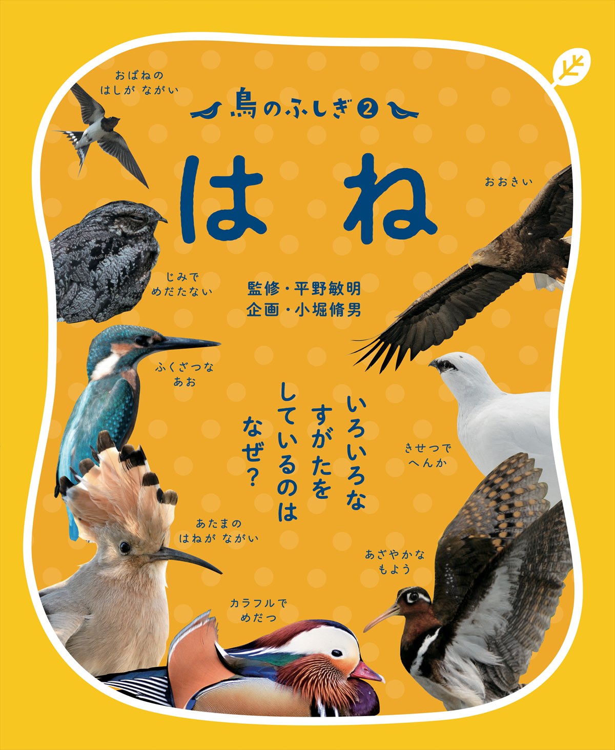 鳥のふしぎ２ はね