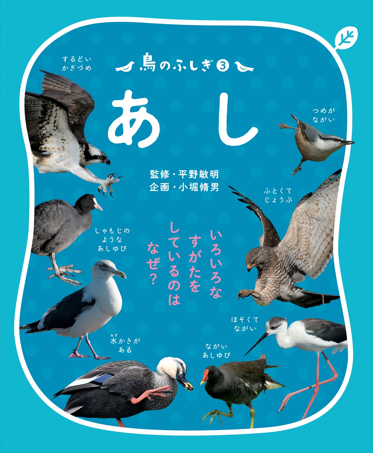 鳥のふしぎ３ あし