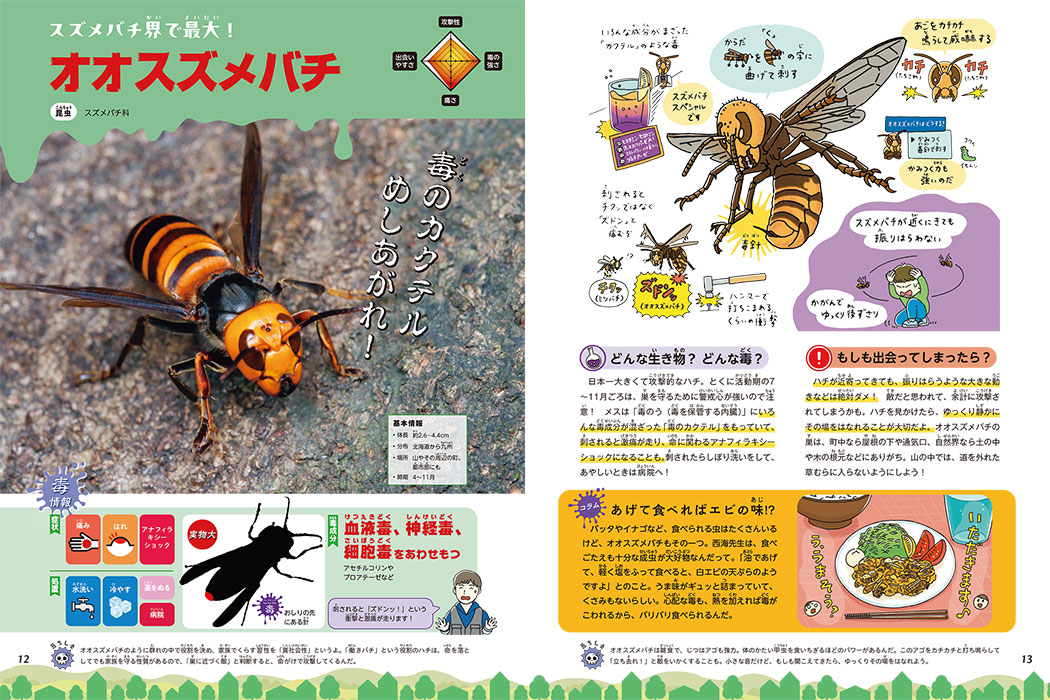 こん虫とみぢかな生き物　理科がよくわかるクイズの本1 入手困難品格安クーポン限定 こん虫とみぢかな生き物 理科がよくわかるクイズの本1 入手困難品格安